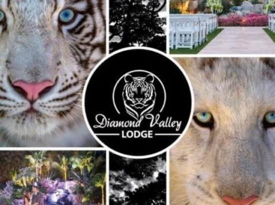 Diamond Valley Lodge Weddings & Events 